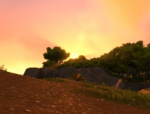 Naplemente a fák között 