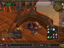 Alvó maci veszélyes maci ne keltsd fel!