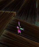 Dr. Bogár a horgász