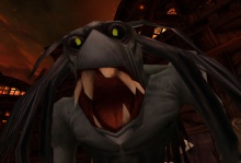 Nomy 1# Társamat keresem!