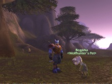 Undead pet :D