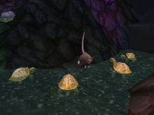 Szecska mester és a 4 tini ninja teknőc