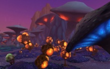 Vissza a gombákhoz :-)