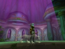 Ritka pet 