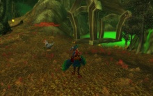 Black Chicken of Death