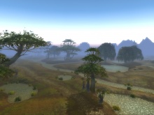 "Az ezer tó országa" Wetlands