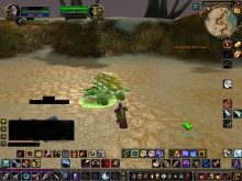 Torta - Alias Teki - :D