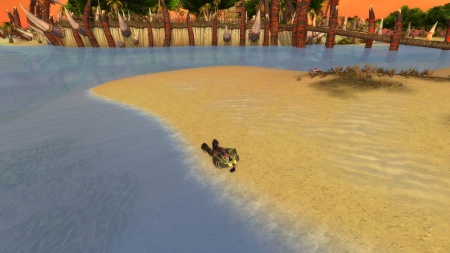 Shipwrecked