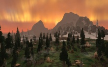 Fenyves a fagyos Északon