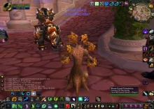 Tauren Paladin (Nem az én képem)