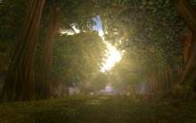 Elwynn Forest