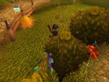 Ki mondta, hogy a gnómoké kicsi??