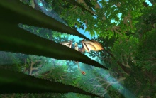 Sárkányka a fák alatt